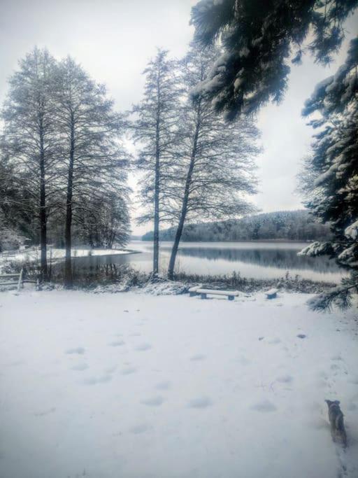 Vila Przystanek Golubie Exteriér fotografie